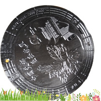 Couvercle de manhole SMC avec surface lisse