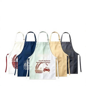 Grembiule Promozionale Impermeabile e Oleorepellente Senza Maniche con Logo Personalizzato per il Quarto Censimento Agricolo Nazionale, con Testo Stampato - Product Image 1
