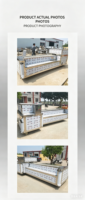 Abrikozen snij- en ontpitmachine 220/380V PLC tandwielmotor fruitverwerkingskern (tandwiellager) capaciteit 300-400kg/u