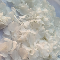 Bunga Awetan Biodegradable Organik Alami Kelopak Hydrangea Kering Pernikahan Pesta Natal Liburan Hari Valentine