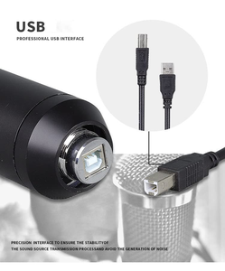 New Studio Gooseneck Condenser Microphone Set With USB Sound Card for Studio Recording Broadcasting - Product Image 2