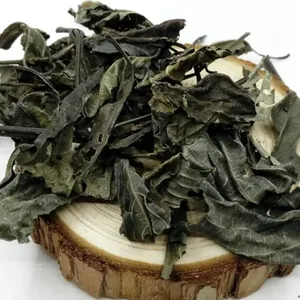 Da Qing Ye Bulk Nature Organic Radix Isatidis Dry Isatis Indigo Leaf avec des <span class=keywords><strong>prix</strong></span> bon marché - Product Image 2
