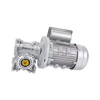 Moteur AC monophasé 180W 220V/240V 50HZ 1390RPM avec boîte de vitesses à vis sans fin NMRV040, fabriqué en Chine, modèle YL6324