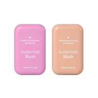 Série de maquillage personnalisée en gros pour marque propre : Fond de teint liquide, Stick pour les joues, Poudre végane unilatérale, Fards à joues