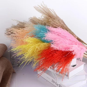 Herbe de la <span class=keywords><strong>Pampa</strong></span> Séchée en Gros pour Bouquets de Mariage, Fête des Pères, Remise de Diplôme - Imperméable, Longue Durée, Personnalisable - Product Image 5