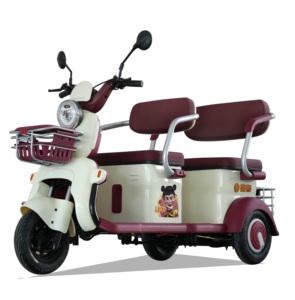 Tricycle pliable 60V pour adultes, scooter à châssis ouvert, pédales, vitesse 30-50 km/h, autonomie 50-70 km, 2 places, moteur 251-350W, mobilité - Product Image 2
