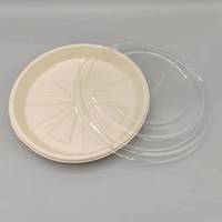 Assiette jetable biodégradable en bagasse avec film laminé et couvercle transparent, assiette en canne à sucre jetable, fournitures en gros