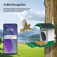 Mangeoire à oiseaux intelligente automatique à énergie solaire avec caméra intégrée pour oiseaux d'extérieur et jardin, fabriquée à Shenzhen