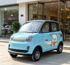 Veicolo Elettrico a Quattro Ruote per Uso Domestico, Auto Elettrica a 4 Porte, Motore 1000W, 2.80*1.35*1.65m - Product Image 5