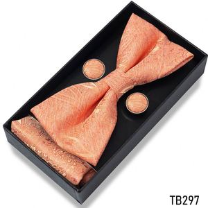 Juego de Corbata de Moño y Pañuelo de Bolsillo de Lujo FX, Coloridos, en Caja de Regalo, de Poliéster, para Hombre - Product Image 6
