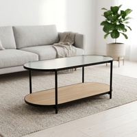 Table basse ovale moderne avec plateau en métal, pieds en métal noir, étagère de rangement à 2 niveaux, meubles durables pour le salon