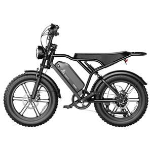 จักรยานไฟฟ้า Zerogo 2025 รุ่น V8 250w ระบบดิสก์เบรกไฮดรอลิก จักรยานไฟฟ้ากำลังสูง Rtr E-Bike R002 จักรยานไฟฟ้าน้ำหนักเบา Ridstar Dual Vtt Cycles E-bike ขายดี - Product Image 4