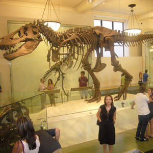 <strong>Dinosaur</strong> Park <strong>Dinosaur</strong> <strong>Fossil</strong> Real T-rex Skeleton for Museum Exhibition - Product Image 2