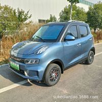 Mini véhicule électrique 3000W, véhicule électrique à quatre roues, voitures électriques