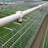 Cage à batterie pour volailles, galvanisée, longue durée d'utilisation, pour poules pondeuses, élevage de poulets