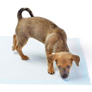 Alfombrillas de Entrenamiento Desechables para Cachorros, Impermeables, al por Mayor, Marca OEM - Product Image 2