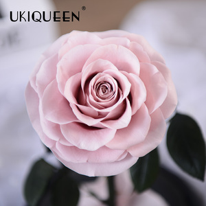 Aniversario, <span class=keywords><strong>Bella</strong></span> <span class=keywords><strong>bestia</strong></span> romántica, flor para siempre, encantada, Mini cúpula <span class=keywords><strong>de</strong></span> cristal, rosas eternas que dura más <span class=keywords><strong>de</strong></span> un año - Product Image 5
