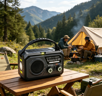 Radio d'urgence portable 16000 mAh FM AM WB avec lampe torche LED dynamo à manivelle et alimentation solaire pour survie en extérieur
