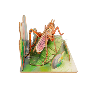 Rompecabezas 3D del ciclo <span class=keywords><strong>de</strong></span> vida del gusano <span class=keywords><strong>de</strong></span> la <span class=keywords><strong>seda</strong></span>, juguetes Montessori <span class=keywords><strong>de</strong></span> madera, kit <span class=keywords><strong>de</strong></span> aprendizaje <span class=keywords><strong>de</strong></span> etapas <span class=keywords><strong>de</strong></span> crecimiento biológico <span class=keywords><strong>de</strong></span> la naturaleza STEM para niños - Product Image 3