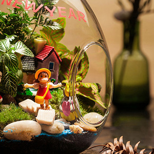 Precio de fábrica DIY Micro paisaje en forma de huevo Plantas en maceta Oficina creativa Micro paisaje para Año Nuevo Boda Nueva llegada - Product Image 1