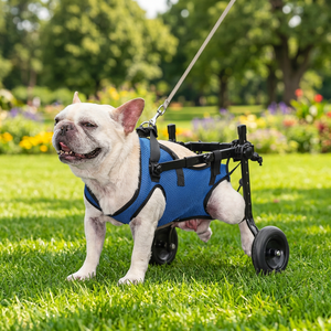 Carrito de Movilidad Ajustable para Perros al por Mayor con Ruedas de Asistencia Plegables - Product Image 3