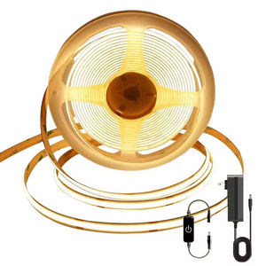 Tira de Luz LED Flexible de 12v 24v para Interiores, Tira de Luz Digital COB, Diodo Emisor de Luz - Product Image 2