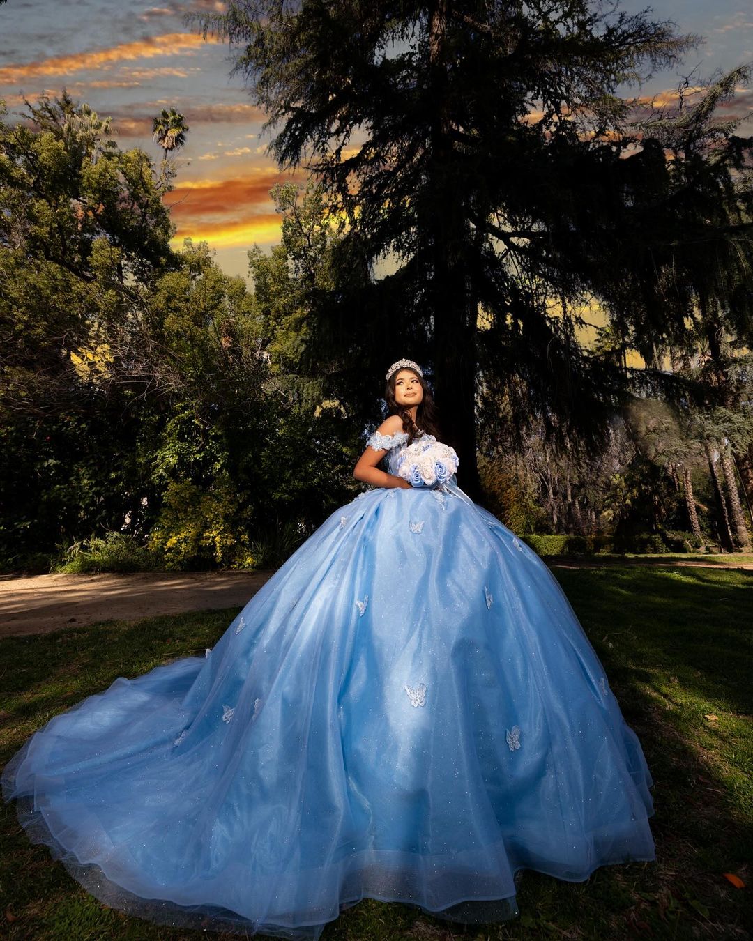 Wholesale Sweetheart Neck Quinceanera Dress ky Blue Quinceanera Dress Off houlder Vestidos de 15 Anos 3D Butterfly Quinceanera Dress,2 Pieces Wholesale Sweetheart Neck Quinceanera Dress ky Blue Quinceanera Dress Off houlder Vestidos de 15 Anos 3D Butterfly Quinceanera Dress,2 Pieces