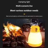 Lampe de camping LED rechargeable AA étanche IP67 Bright Bird 2026, torche lanterne avec batterie externe d'urgence en ABS