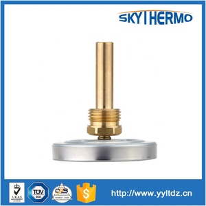 Giá Cả Phải Chăng Các Loại Nhiệt Kế Nước Công Nghiệp Giá Cả Cạnh Tranh - Product Image 5