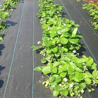 GT tapis de désherbage pour produits agricoles, couverture de sol de paysage tissé anti-uv PP