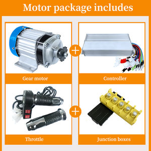 <span class=keywords><strong>48V</strong></span> 60V 550W 700W 800W 1000W 빠른 배송 전기 세발 자전거 영구 자석 기어 모터 키트 BLDC 모터 - Product Image 2