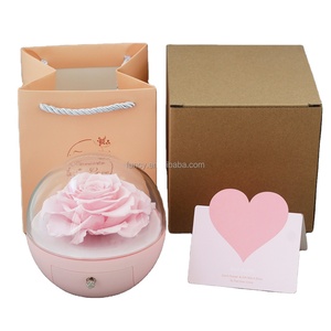 Eternal Forever Infinity Petits bijoux tournants Roses conservées en boîte pour anniversaire Saint Valentin Fête des Mères Graduation-a - Product Image 6