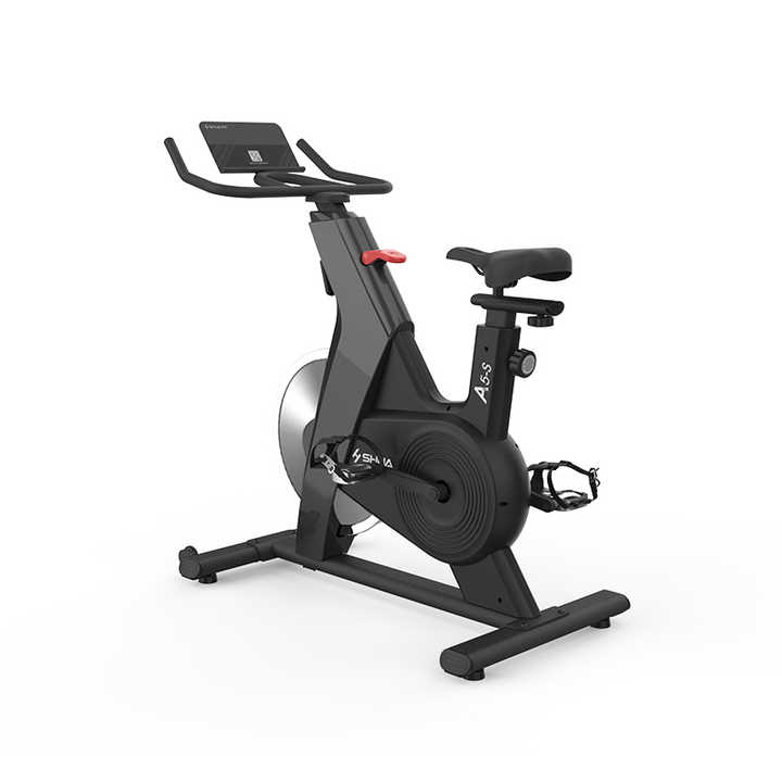 Fitness Bike Spin Bike Dynamic Raleigh Spinning Bike Stationary