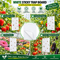 Pièges collants blancs 20x25cm pour Lygus, cartes de surveillance des insectes à adhésif double face ultra-résistant pour la lutte intégrale des parasites (LIP) des fraises en serre