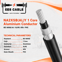 Câble d'alimentation moyenne tension NA2XSB(AL)Y 1 conducteur en aluminium, isolation XLPE, gaine en PVC, blindage en bande d'aluminium, norme IEC 60502