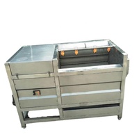 Offre Spéciale épluchage et machine à laver le manioc taro carotte brosse laveuse automatique éplucheuse de pommes de terre bon prix personnalisé