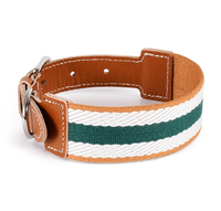 Collier de chien personnalisable de haute qualité pour chiens de taille moyenne Motif d'impression directe d'usine Sangle rembourrée en cuir Corde de traction chat