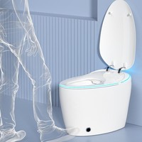 WC intelligent automatique monobloc en porcelaine à siphon, à poser au sol, avec plusieurs spécifications, ensemble de toilettes sanitaires pour salle de bain