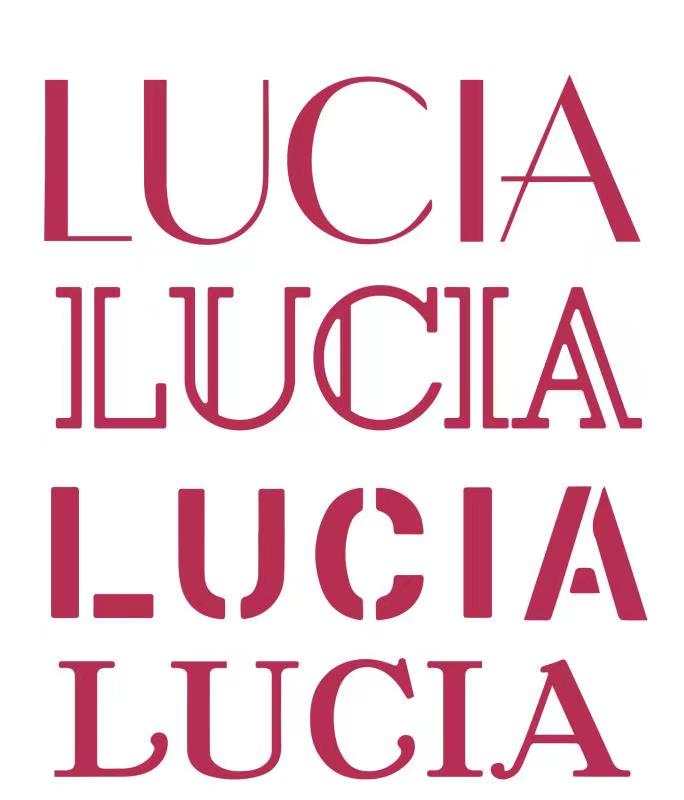 Wuhan Luqian Electronic Commerce Co., Ltd. logo