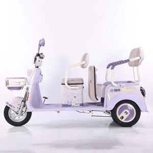 EEC điện ba bánh 1000W mở cơ giới Tuk xe với 48V điện áp 300kg tải trọng Công suất hành khách và hàng hóa tiện ích trimoto - Product Image 5