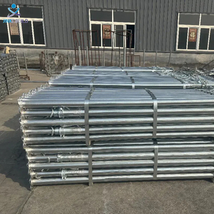 定制800 5500毫米Acrow道具可调钢模板道具建筑镀锌脚手架钢道具 - Product Image 4