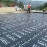 Rouleau de sous-couche étanche en gros d'usine pour les matériaux de protection de toit imperméabilisant la membrane de bitume