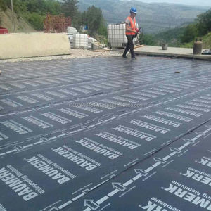 Rouleau de sous-couche étanche en gros d'usine pour les matériaux de protection de toit imperméabilisant la membrane de bitume - Product Image 3