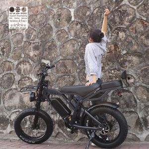 Nuovo Design Motore Posteriore da 250 Watt 48V per Bici Elettrica Vintage da 20 Pollici VOMO X80 BIKE Magazzino Europeo X80 EBike - Product Image 6