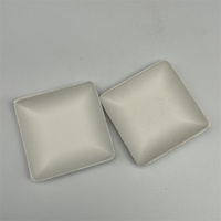 Assiettes jetables compostables Plat à sauce bagasse canne à sucre biodégradable