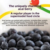 Gefreeze-droogde Shanxi Wilde Acai Poeder Acai Fruit Anthocyanine-rijke Pure Berry Superfood Bakken Licht Etenvervanger Blik