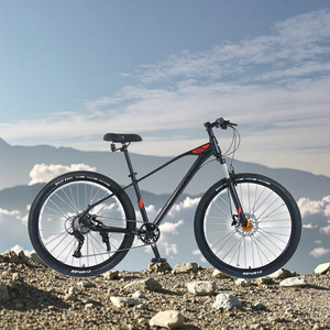 12-Tốc Độ 29/27.5 MTB Xe Đạp Leo Núi Cho Người Lớn Với Dầu Đĩa Phanh & Bình Thường Đạp Nhôm Hợp Kim Ngã Ba OEM & ODM Có Sẵn - Product Image 6