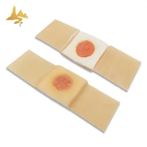 Plaster Pain Health Care Herbal Patch Transdrmal Pad Foot Pain Relief Corn Removal Plaster