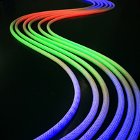 Bande LED néon tressée RGB SPI adressable programmable DC5V pour éclairage artisanal portable DIY