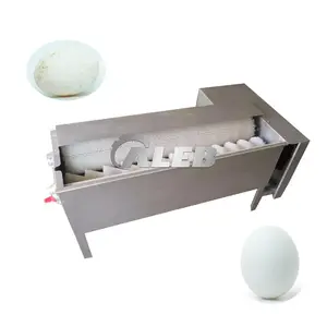 Hot sell pigeon egg washer single row washing machine hen grading cleaning machine for sale